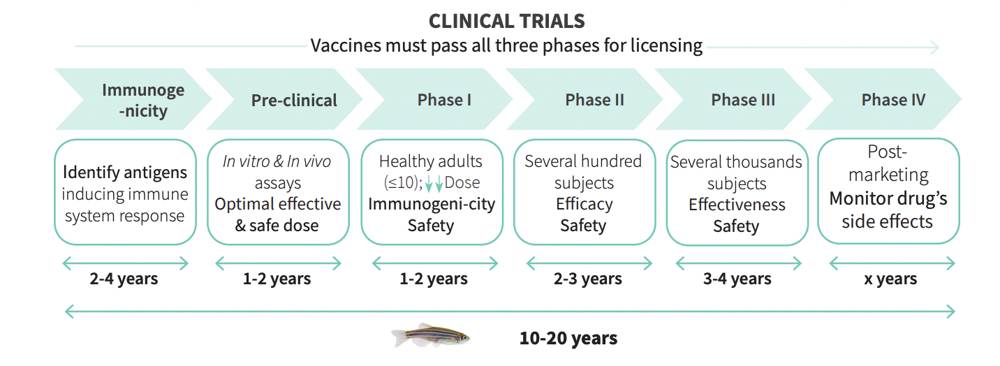 The Drug Discovery Process What Is It and Its Major Steps